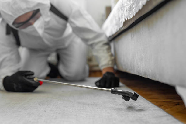 Professional Termite Control technician working in Galax, VA