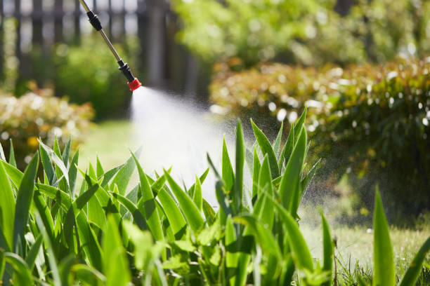24/7 Emergency Termite Control experts in Galax, VA