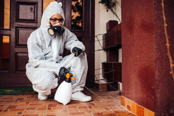 Reliable Termite Control contractor in Galax, VA by Nex Pest Control